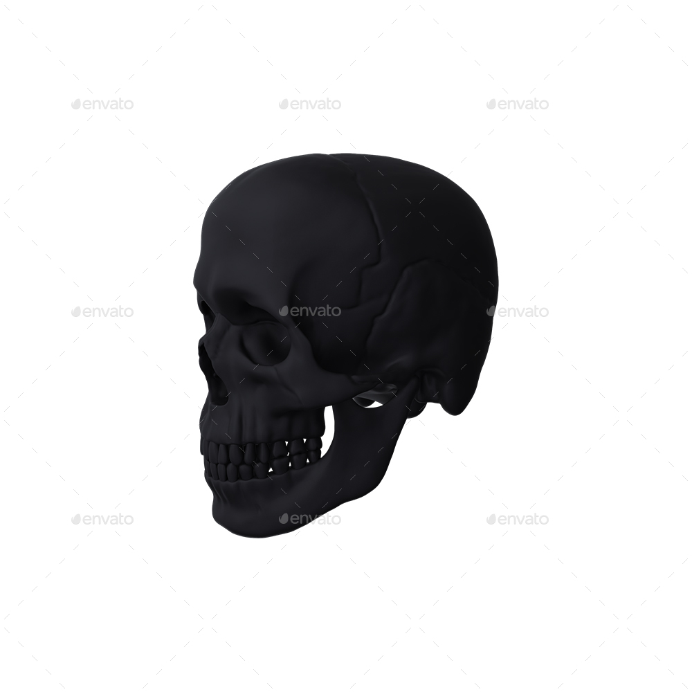 Skull PNG Set by 3background | GraphicRiver